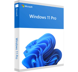 Microsoft Windows 11 Professional Digital License