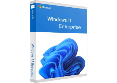 Microsoft Windows 11 Entreprise Digital License Retail – Online Activation
