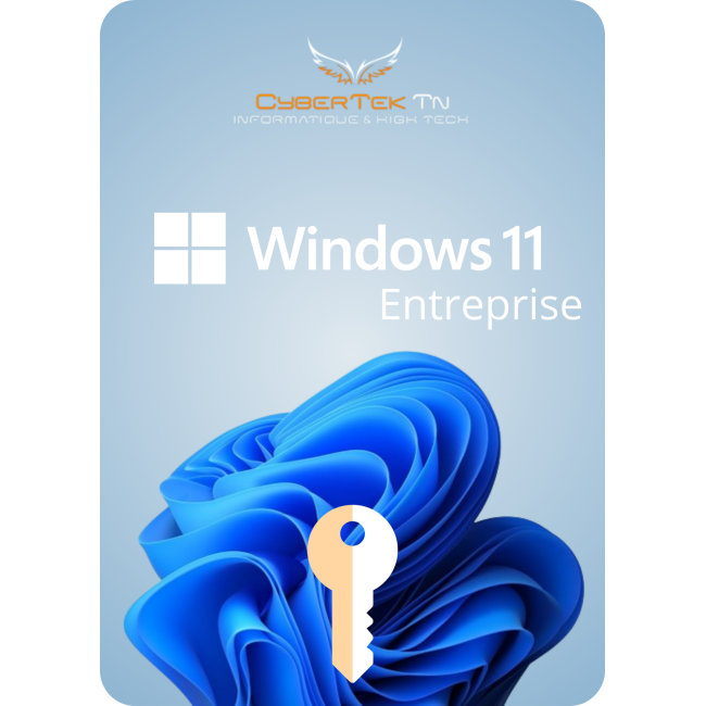 Microsoft Windows 11 Entreprise Digital License Retail – Activation en ligne