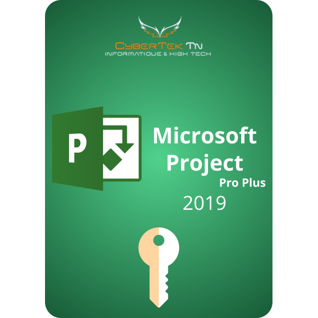 Microsoft Project 2019 Professional Plus Retail