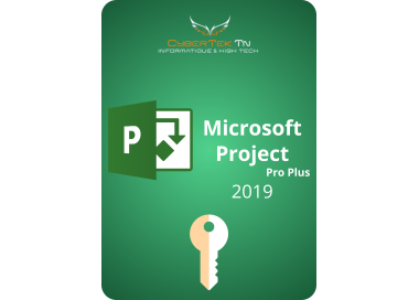 Microsoft Project 2019 Professional Plus Retail