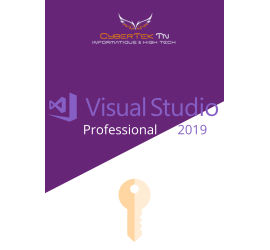 Microsoft Visual Studio 2019 Professional