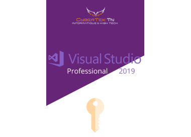 Microsoft Visual Studio 2019 Professional