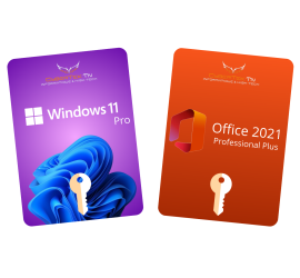 Pack pro plus Windows 11 pro + Office 2021 pro plus