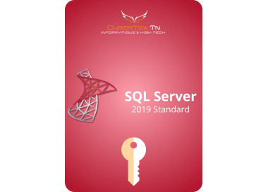 Microsoft SQL Server Standard 2019 Cd Key