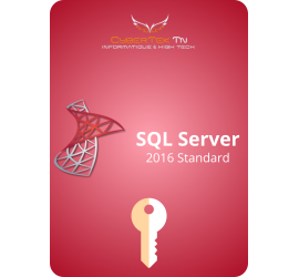Microsoft SQL Server Standard 2016 Cd Key