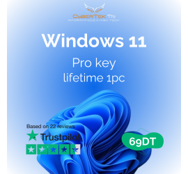 Microsoft Windows 11 Professional Digital License