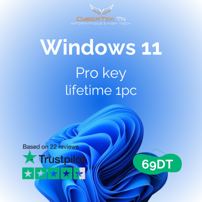 Microsoft Windows 11 Professional Digital License Microsoft Windows 11 Professional Digital License