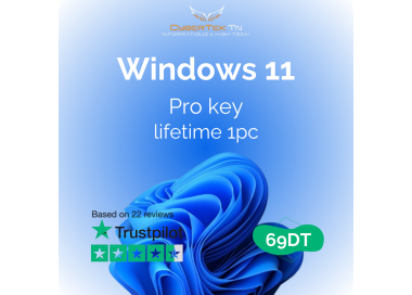 Microsoft Windows 11 Professional Digital License