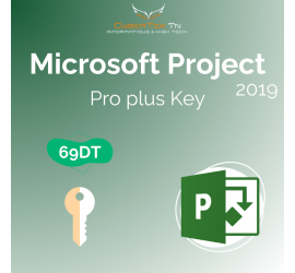 Microsoft Project 2019 Professional Plus Retail