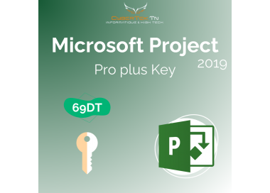 Microsoft Project 2019 Professional Plus Retail