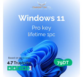 Microsoft Windows 11 Professional Digital License