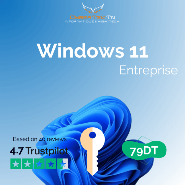 Windows 11 Entreprise