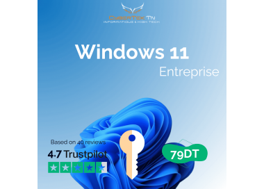 Windows 11 Entreprise