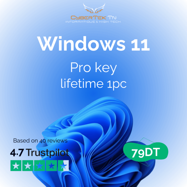 Windows 11 Pro
