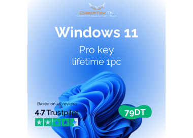 Windows 11 Pro